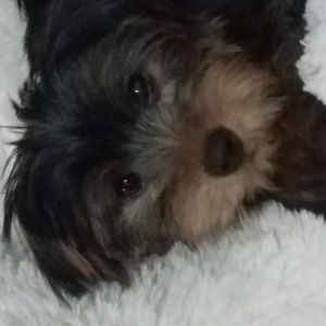 Meet your Posher, Annette